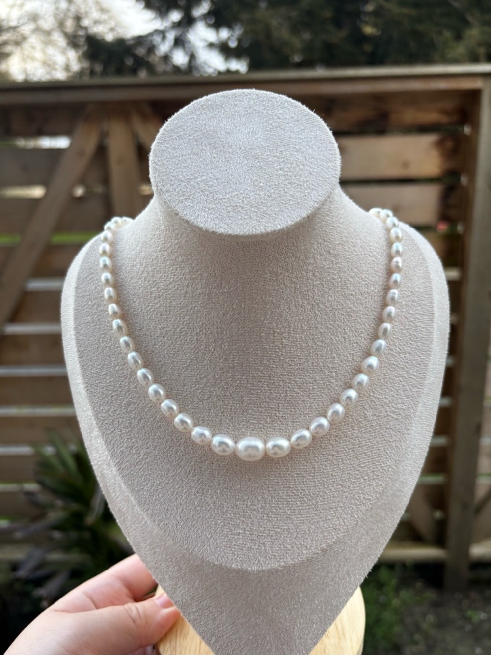 Classic Freshwater Pearl Necklace